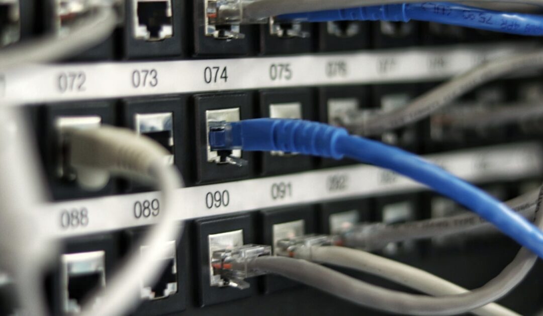 A network patch lead coiled on a desk